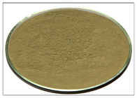 CAS 77 52 1 Rosemary Leaf Powder , Ursolic Acid Rosemary Leaf Extract