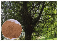 Brown Antimicrobial Plant Extracts , Salicin White Willow Bark Extract Relieving Headache