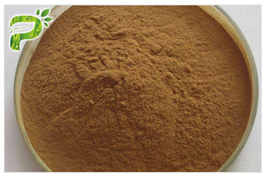 Brown Yellow Fine Powder Ginseng Root Extract 20(R)-Ginsenoside Rh2/Rg3 Anti Cancer